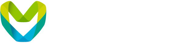 metaverse